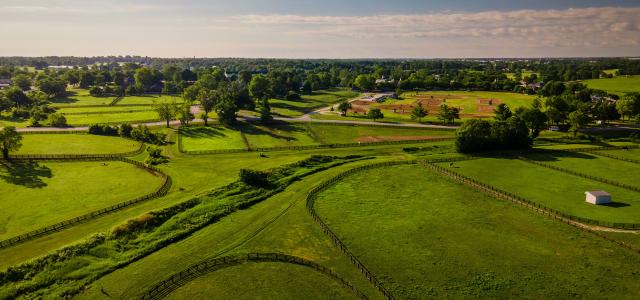 Aerial, drone view of paddocks and pastures divided by black oval fences of a horse farm in rural Kentucky during sunrise